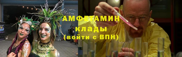 амф Алексин