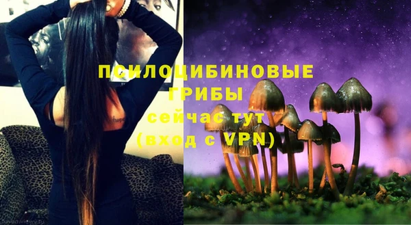 амф Алексин