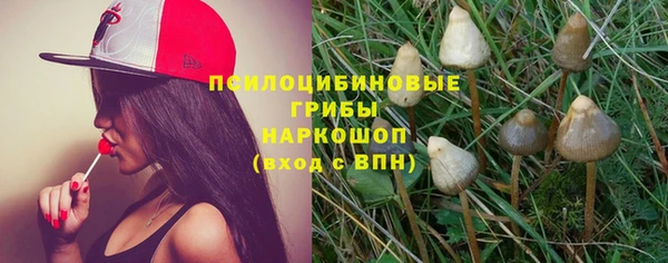 амф Алексин