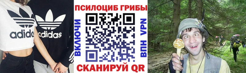 Галлюциногенные грибы Psilocybine cubensis закладки Чулым